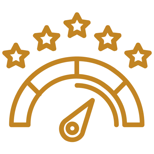 Performance Icon